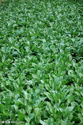 ���{(l��n)��