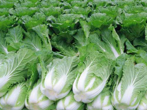 ���r��(y��u)�|(zh��)��ײ�