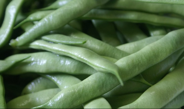 ���r��(y��u)�|(zh��)�ļ���